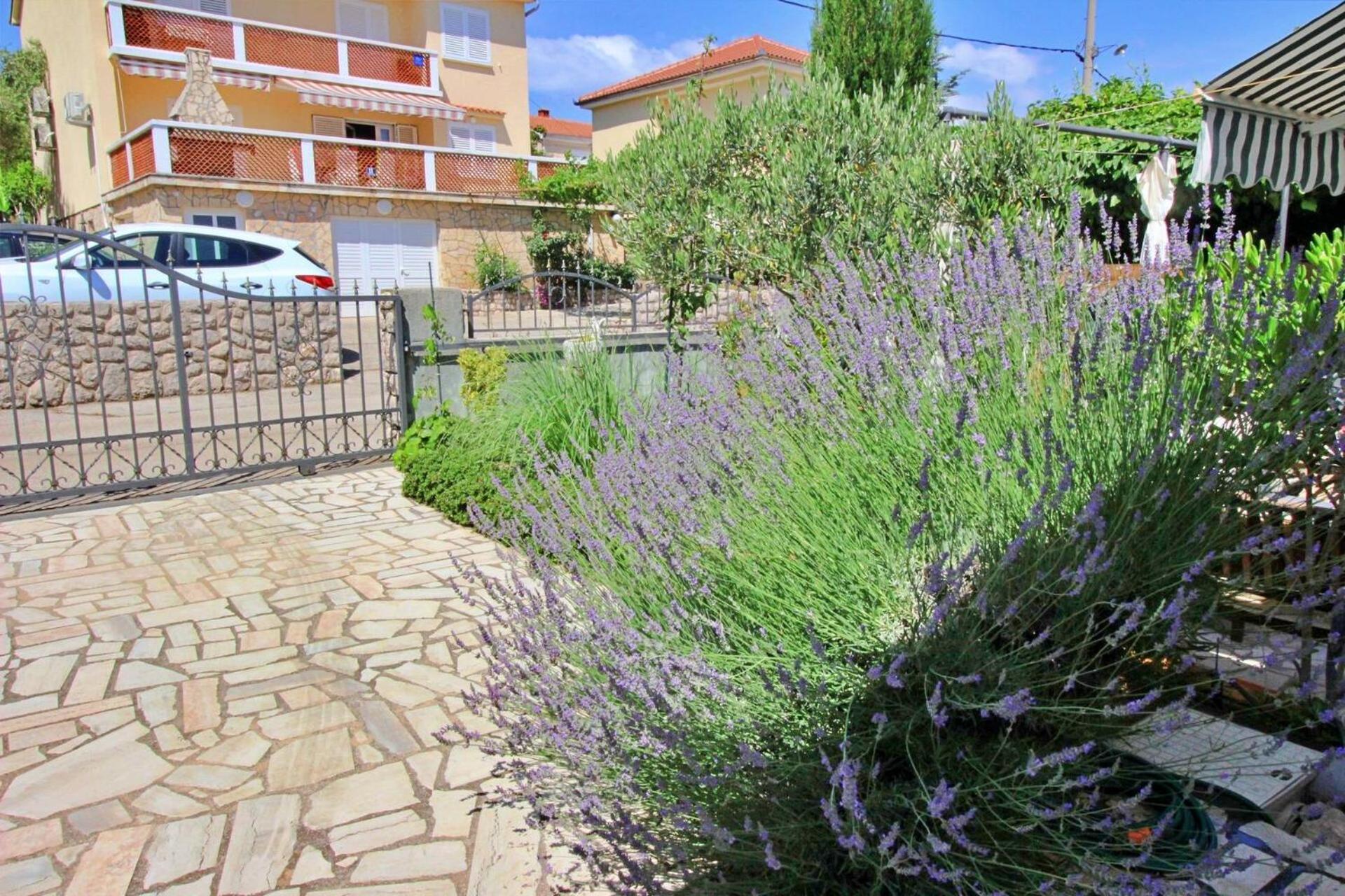 Apartment Renata سيلو المظهر الخارجي الصورة